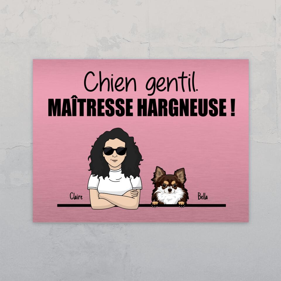 Chien gentil. Maîtresse hargneuse ! - Plaque de porte personnalisée