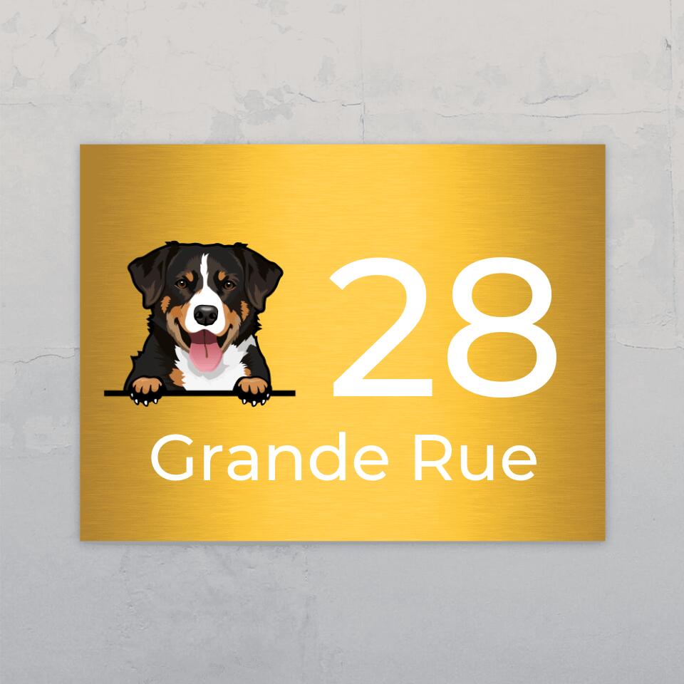 Animaux curieux et numéro de maison - Plaque de porte personnalisée