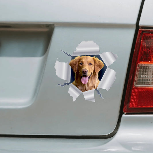 Autocollant pour voiture personnalisé - Photo animal curieux