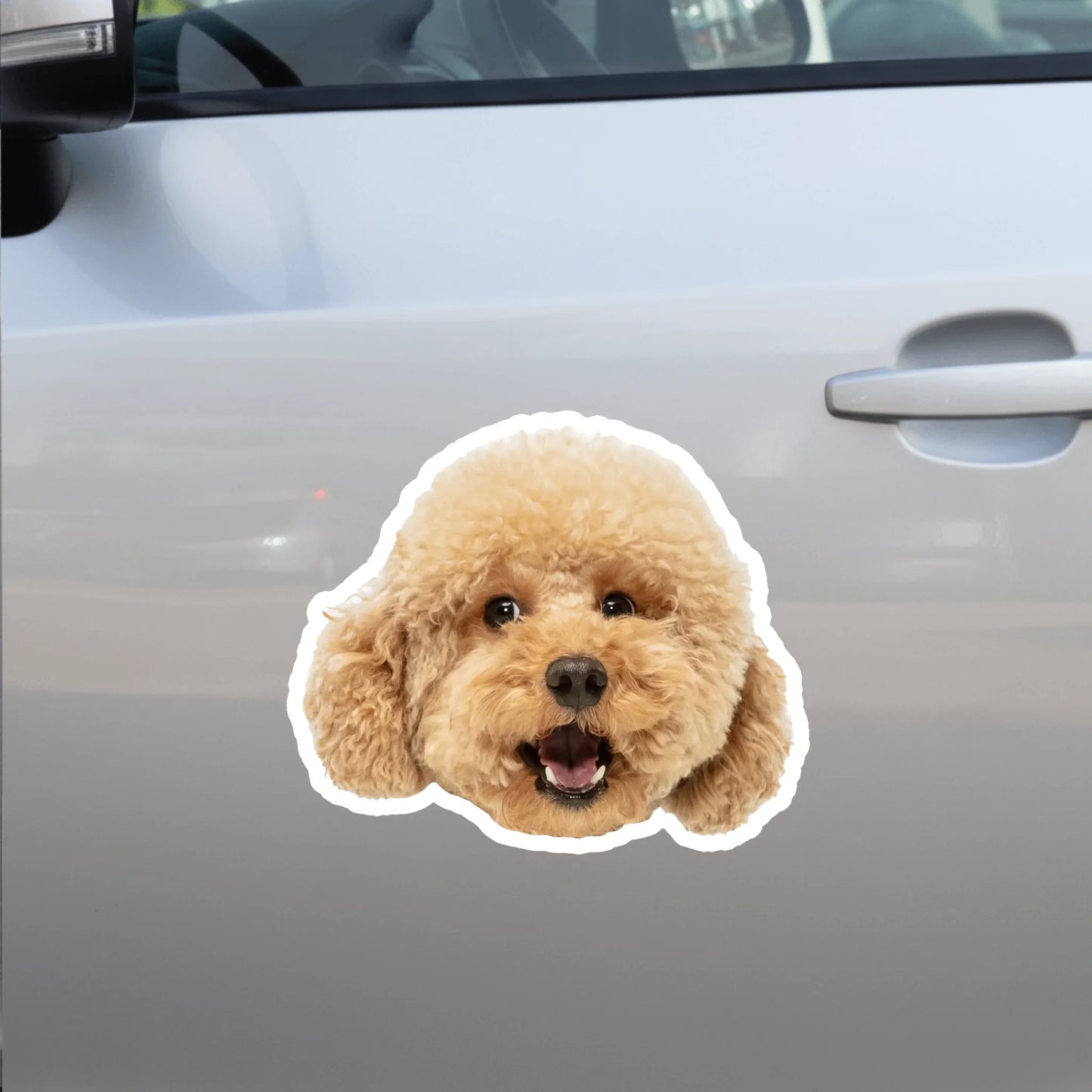 Car Sticker - SHOP NEW side door (1)