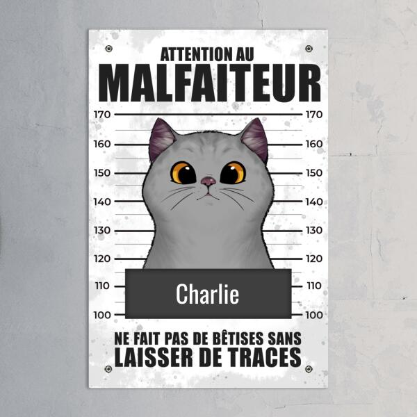Malfaiteur - Plaque de porte personnalisée