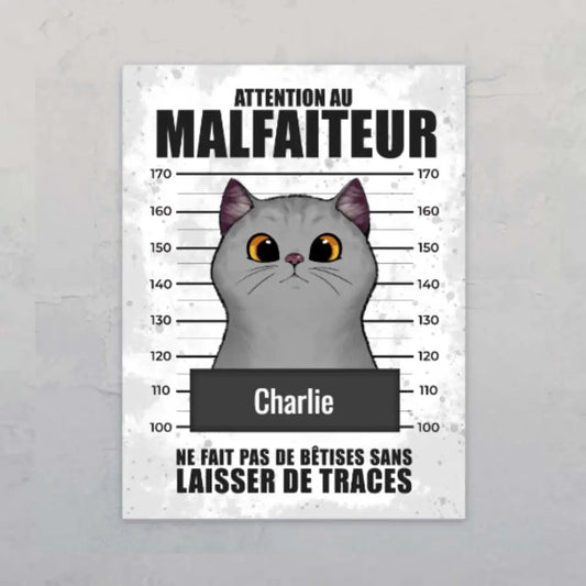 Malfaiteur - Plaque de porte personnalisée