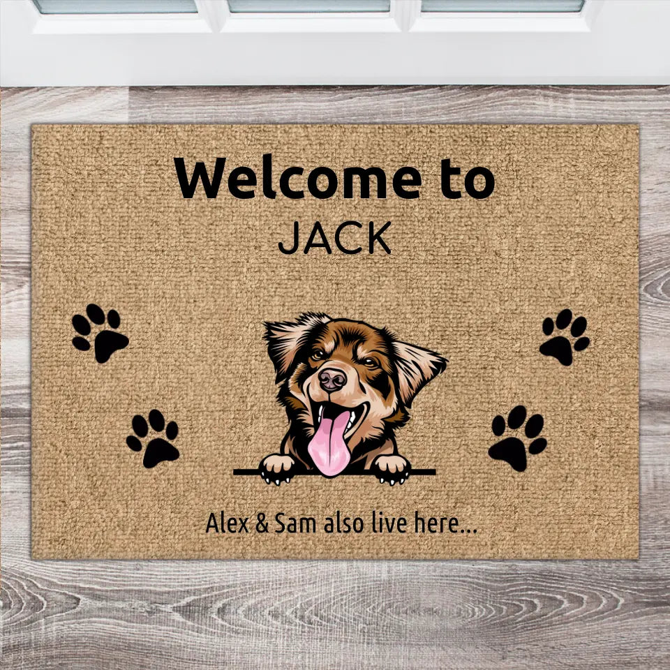Welcome to - Custom pet doormat