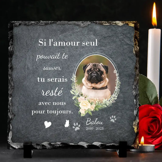 Cadre photo personnalisé en ardoise - Cadeau commémoratif pour chien et chat  - Rectangulaire (3,94 x 5,9) : : Animalerie