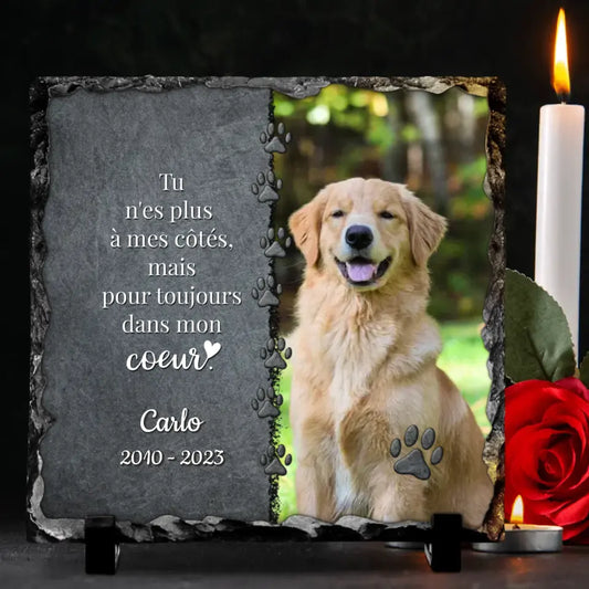 AIGAT Plaque commémorative carrée personnalisée 10 x 10 cm avec nom, Date,  Photo et Support pour Animal Domestique, Chat, Chien, Ardoise, Pierre