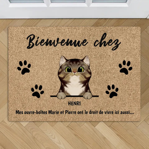 Bienvenue chez les chats curieux - Paillasson personnalisé - Featured Image