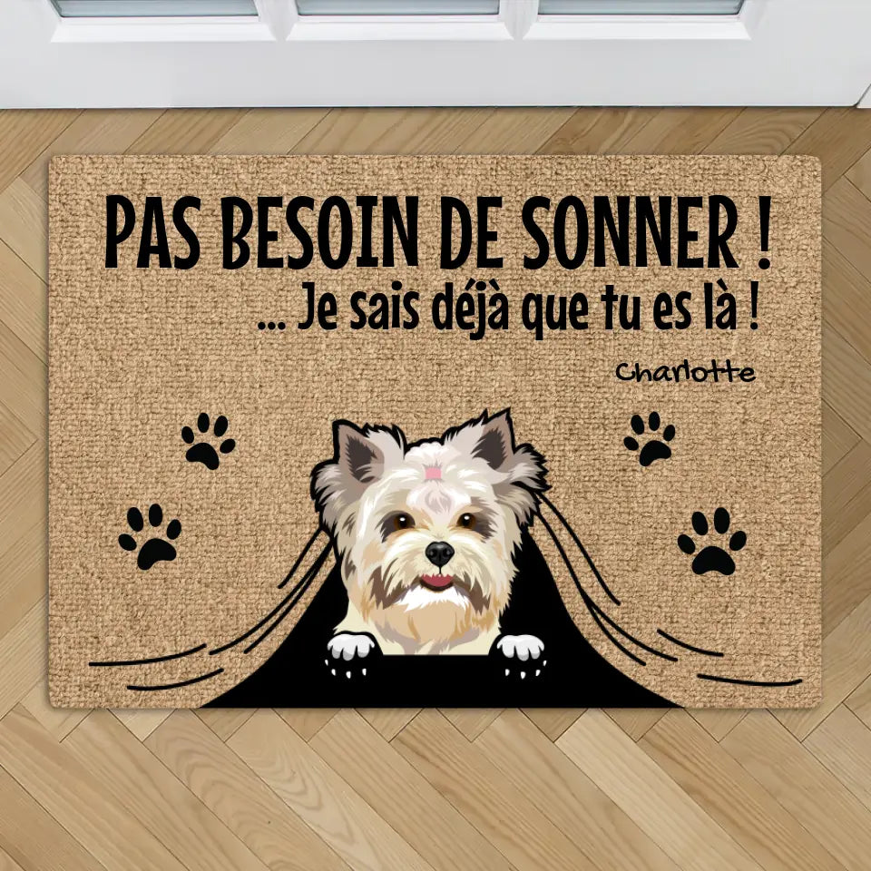 Caché sous le paillasson - Paillasson personnalisé