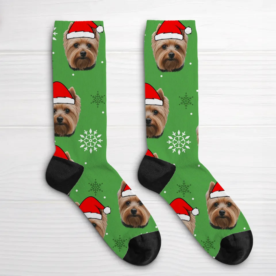 Santa Paws - Chaussettes personnalisées