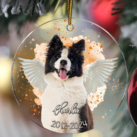 Portrait d'animal - Ornement acrylique personnalisé - Featured Image