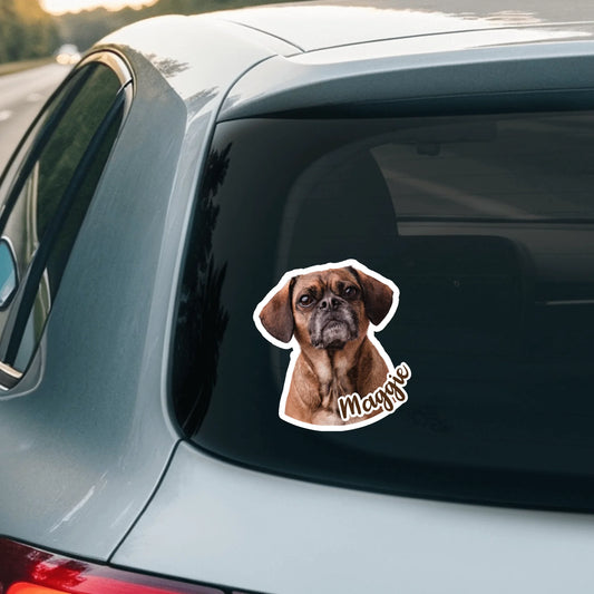 Car Sticker - SHOP NEW 2