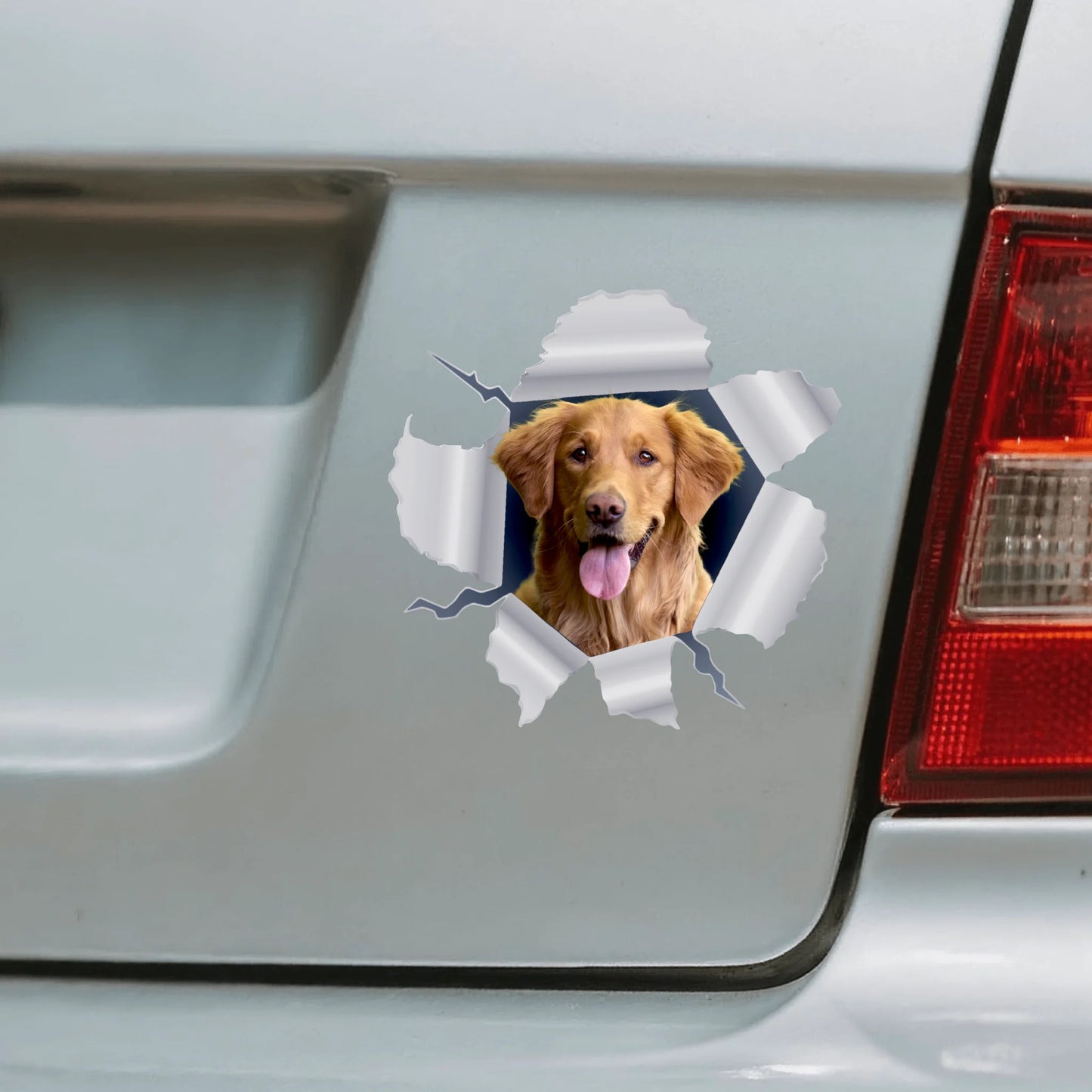 Photo animal curieux - Autocollant pour voiture personnalisé