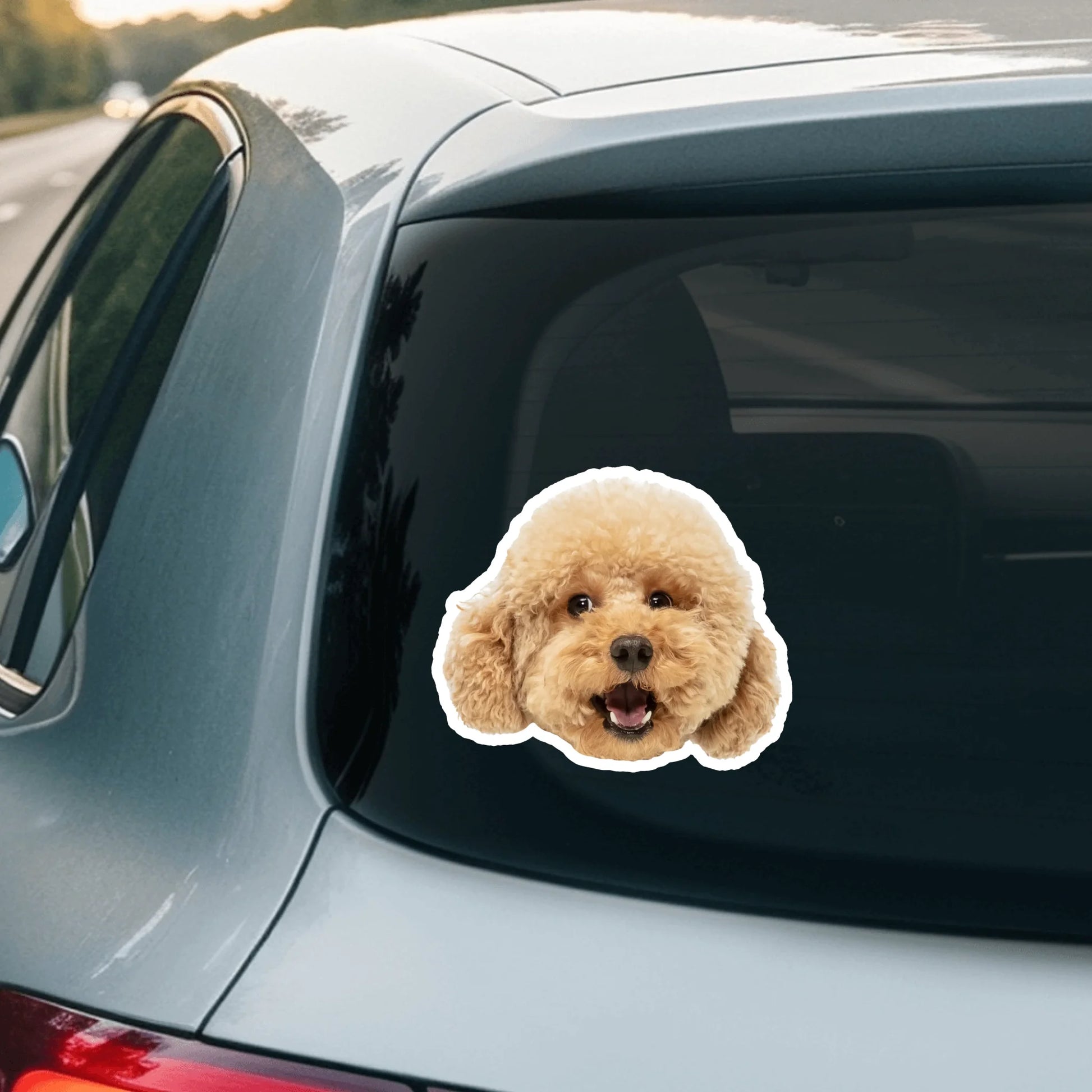 Car Sticker - SHOP NEW 2