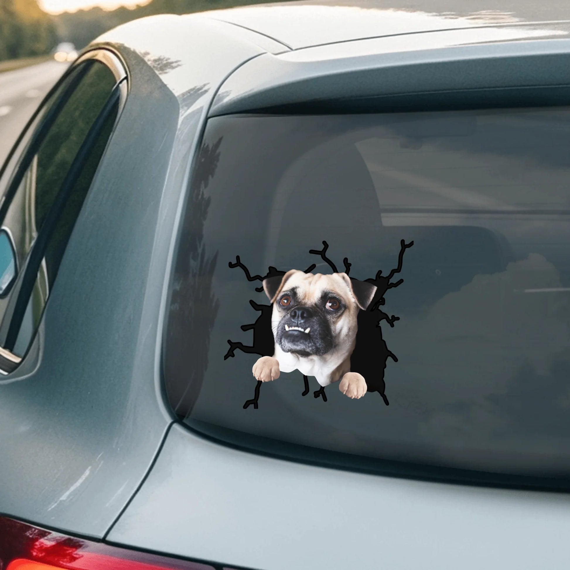 Car Sticker - SHOP NEW 2