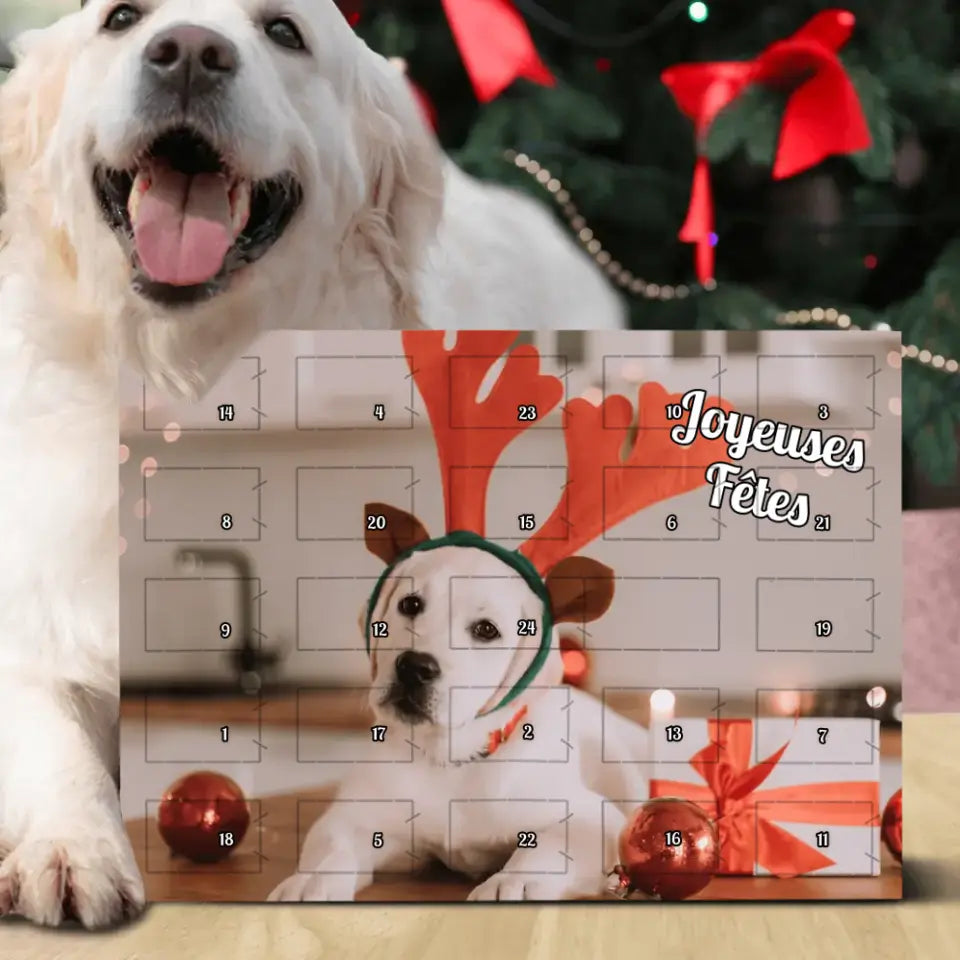 Votre photo - Calendrier de l'Avent personnalisé pour chien