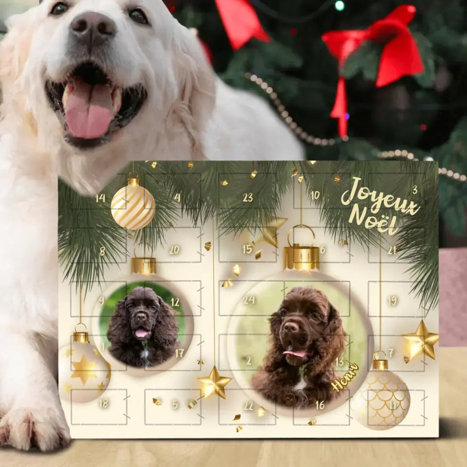 Photo Boule de Noël - Calendrier de l'Avent personnalisé pour chien